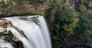 A waterfall falling into a pool surrounded by green foliage